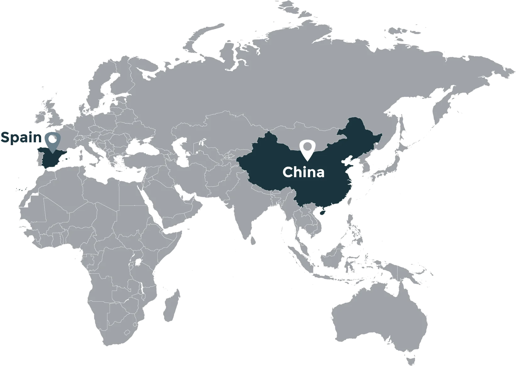Fresh Solutions Fresh Produce Suppliers Garlic map Fresh Solutions Fresh Produce Suppliers Garlic map