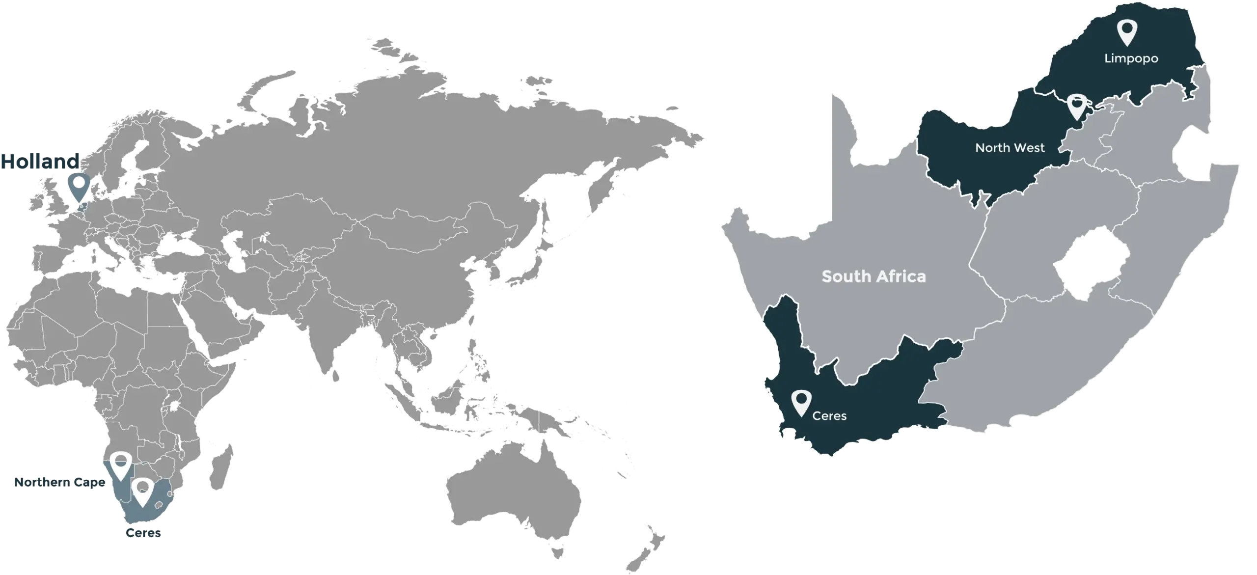 Fresh Solutions Fresh Produce Suppliers Red onions maps Fresh Solutions Fresh Produce Suppliers Red onions maps