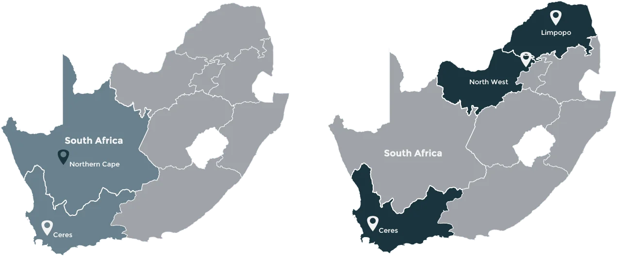 Fresh Solutions Fresh Produce Suppliers white onions maps Fresh Solutions Fresh Produce Suppliers white onions maps