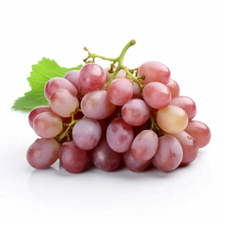 Fesh Solutions Fresh Produce